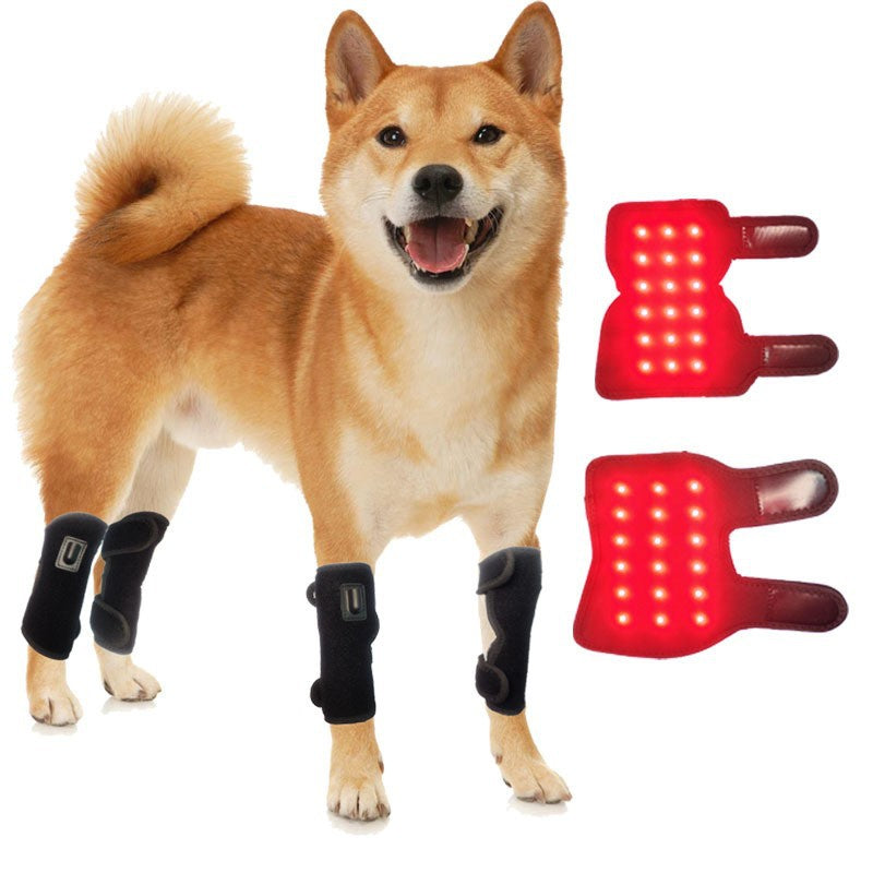 Pet Red Light Physiotherapy for Joint and Muscle Pain